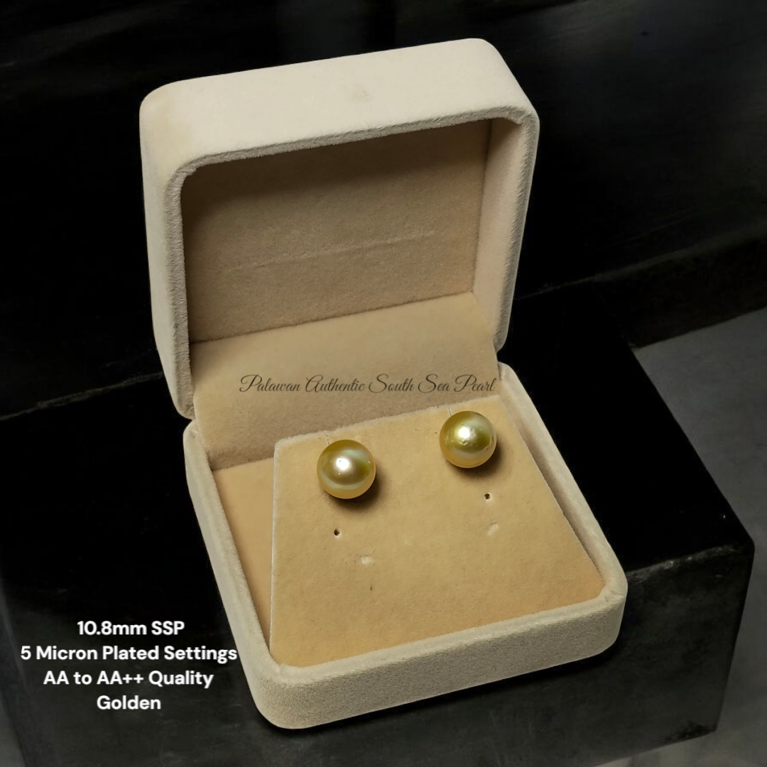 New Arrival! 10.8mm Authentic Golden Color South Sea Pearl Earrings in 5 Micron Plated Settings