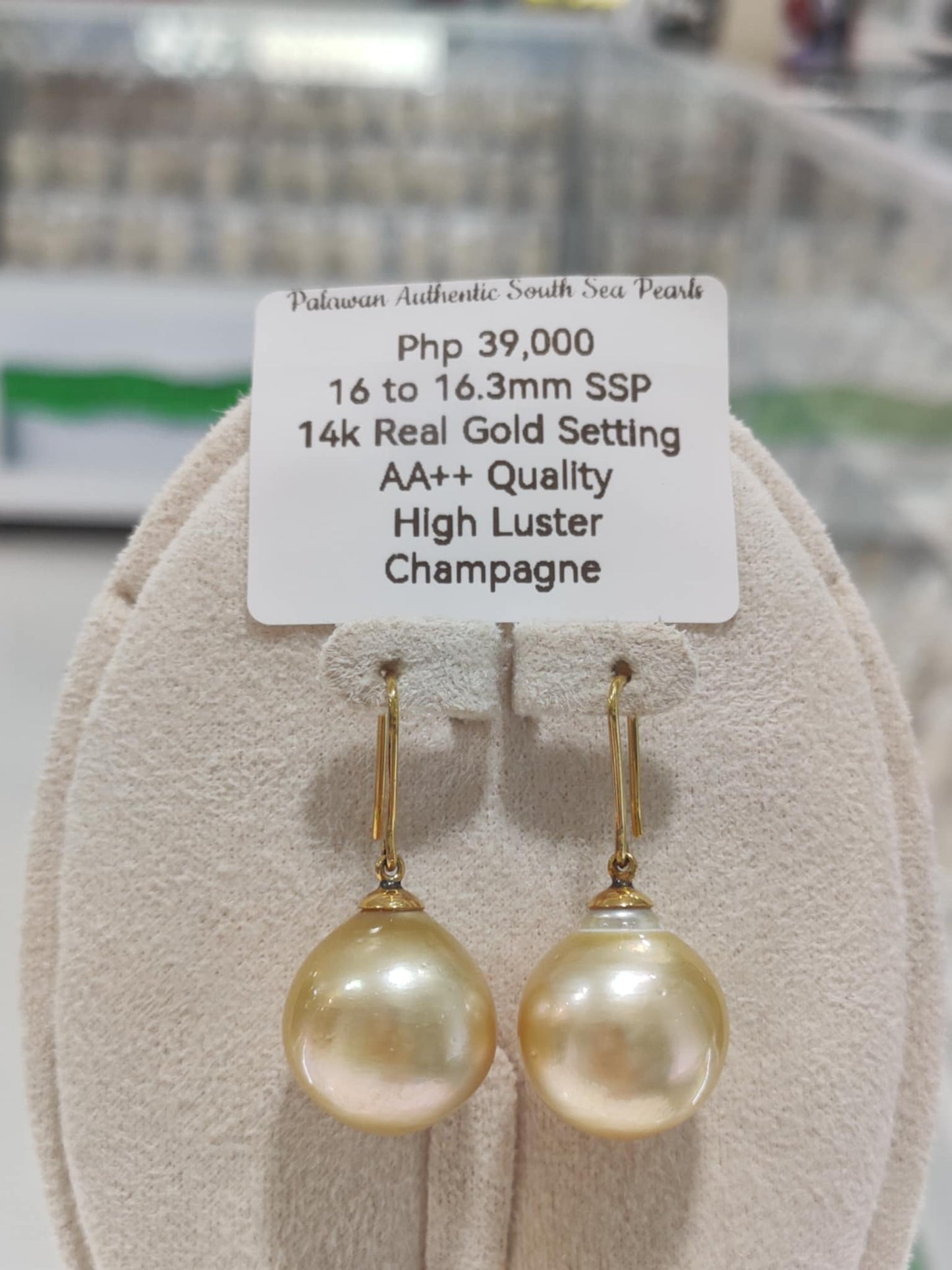 New Arrival! 16mm to 16.3mm Authentic Champagne Color South Sea Pearls Earrings in 14k Gold Settings