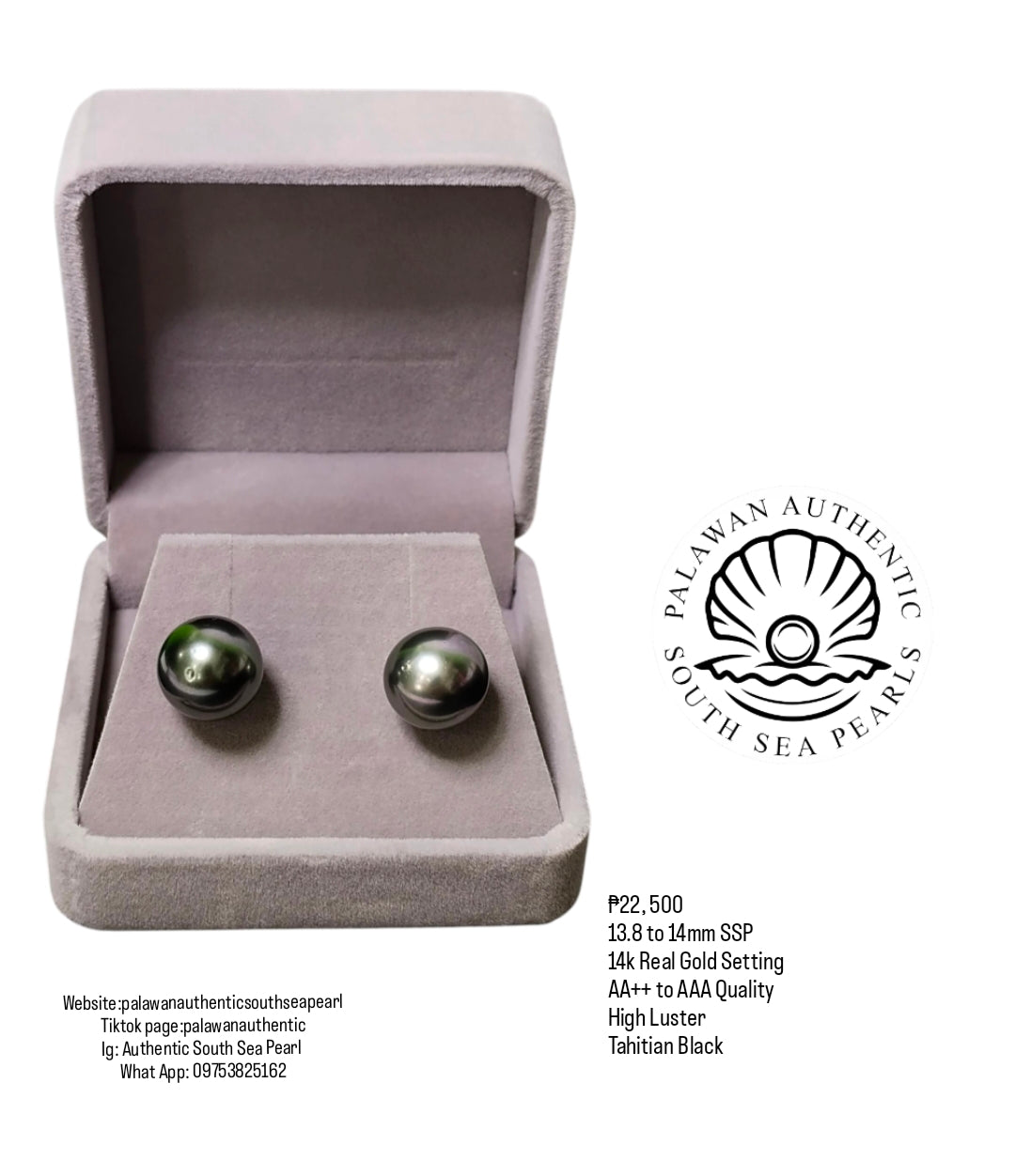 New Arrival! 13.8 to 14mm Authentic Tahitian Black Color South Sea Pearl Earring in 14k Real Gold Setting