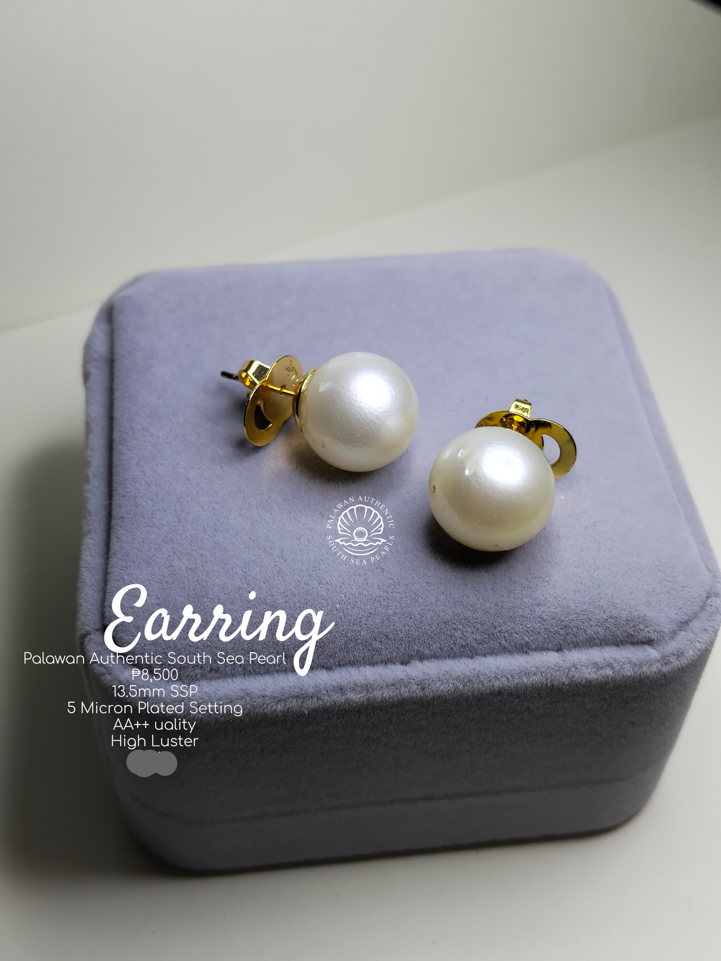 13.5mm Authentic White South Sea Pearls Earrings in 5 Microns Plated Settings