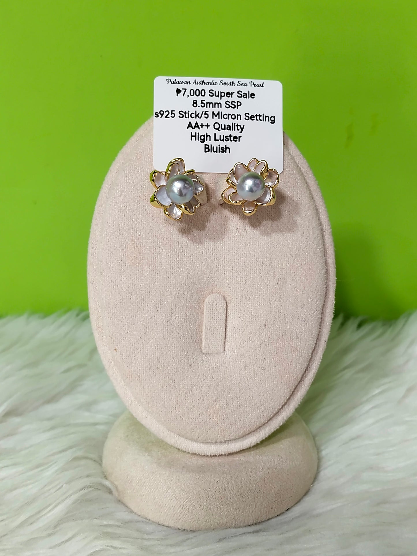 New Arrival! 8.5mm Authentic Bluish Color South Sea Pearl Earring in S925 Stick and 5 Micron Plated Settings