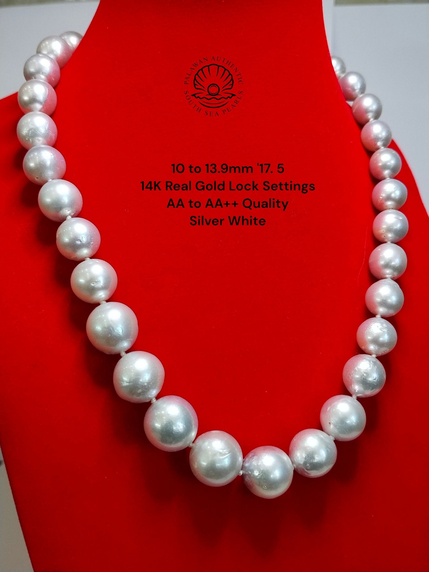 10 to 13.9mm Palawan Authentic Silver White Color South Sea Pearl Choker in 14K Real Gold Lock Settings