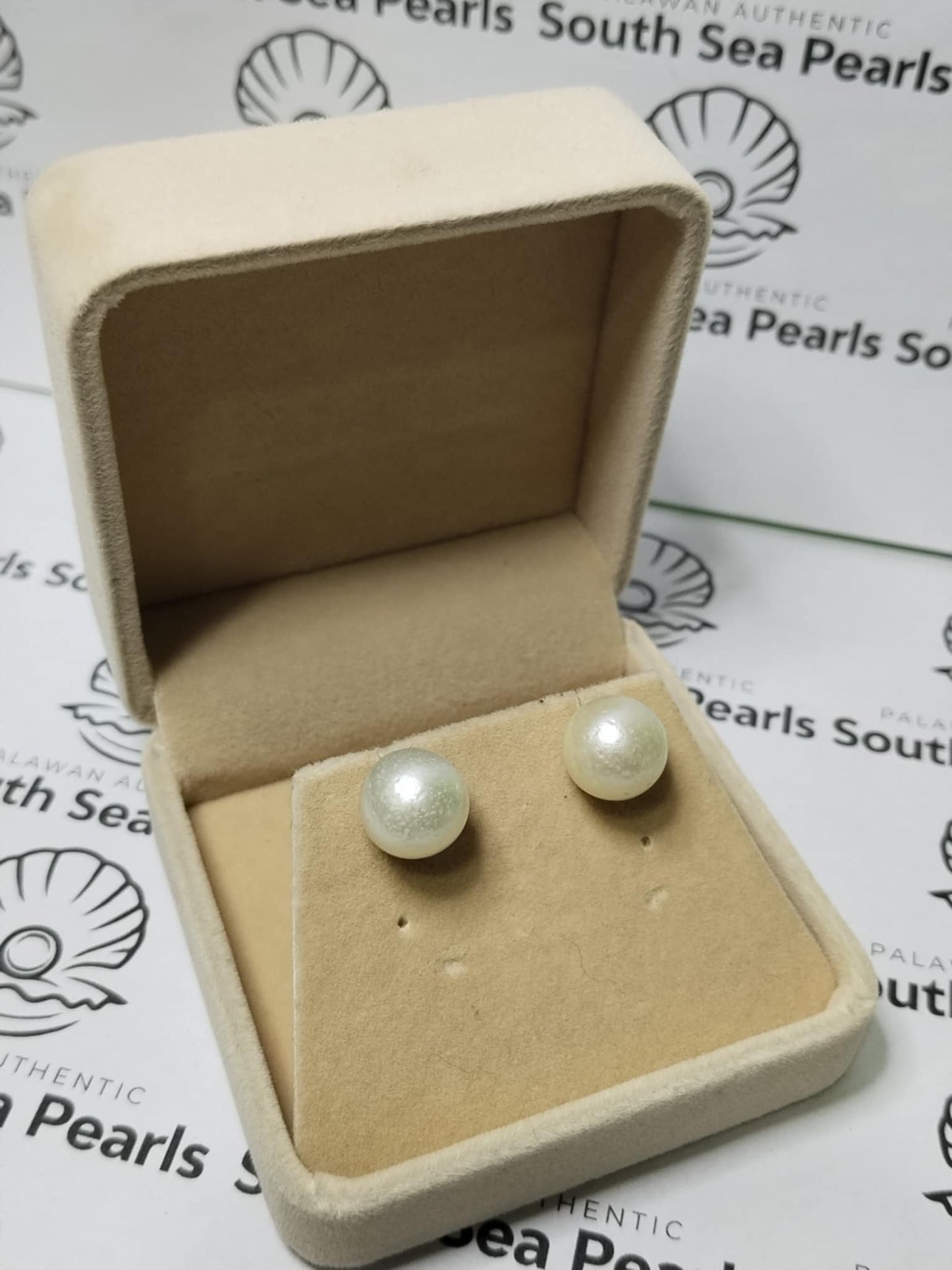 New Arrival! 11.7mm Authentic White South Sea Pearl Earrings in 5 Micron Plated Settings