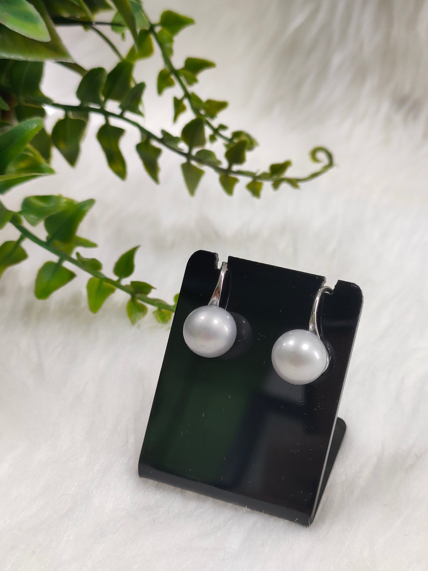 Akoya Earrings (2,500 pairs)