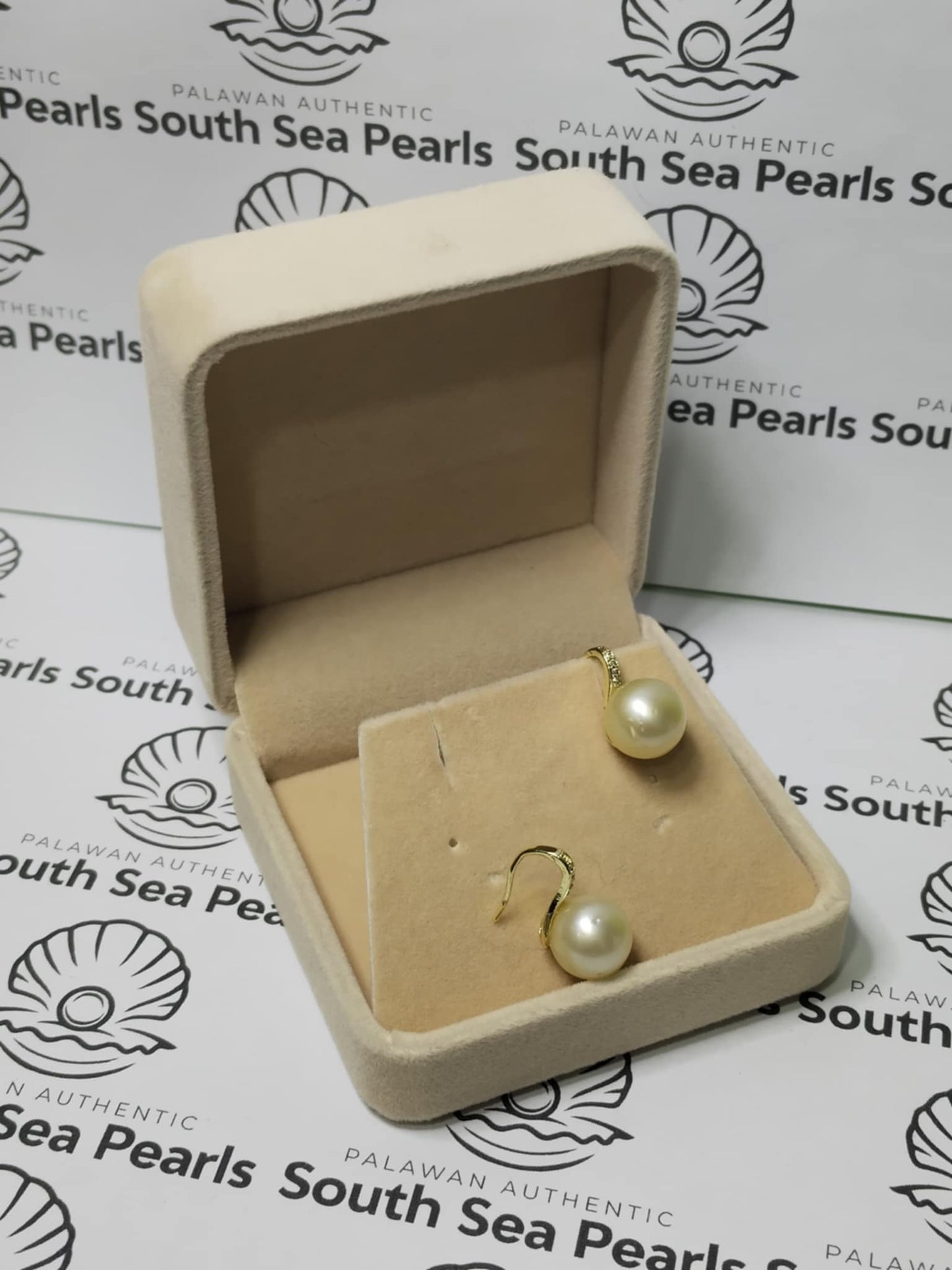 New Arrival! 10.9mm Authentic Champagne Color South Sea Pearl Earrings in 5 Micron Plated Settings