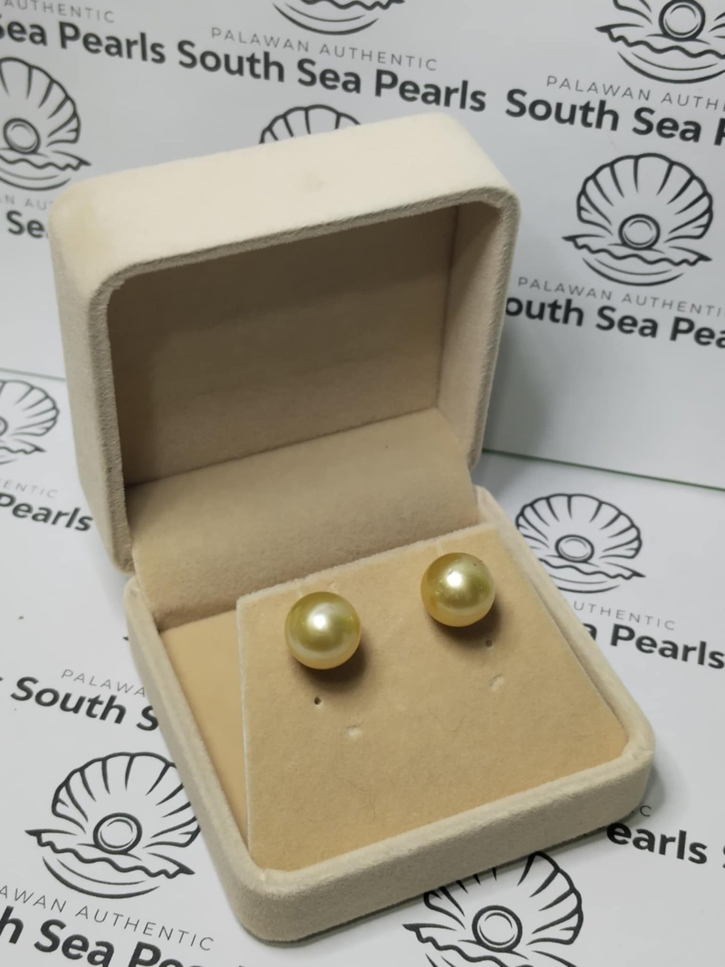 New Arrival! 11.8mm Authentic Champagne Color South Sea Pearl Earrings in 14k Real Gold Settings