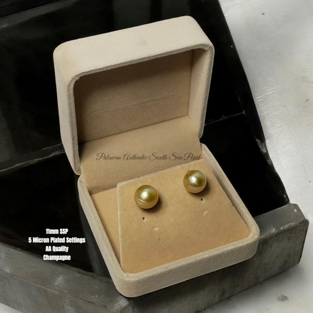 New Arrival! 11mm Authentic Champagne Color South Sea Pearl Earrings in 5 Micron Plated Settings