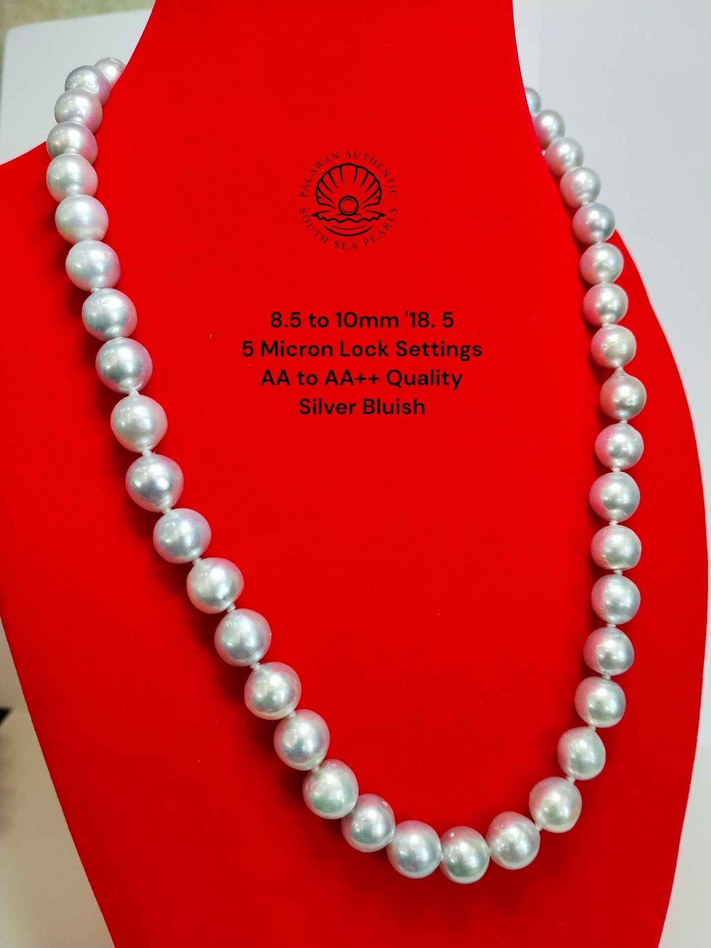 8.5 to 10mm Palawan Authentic Silver Bluish Color South Sea Pearl Choker in 5 Micron Lock Settings