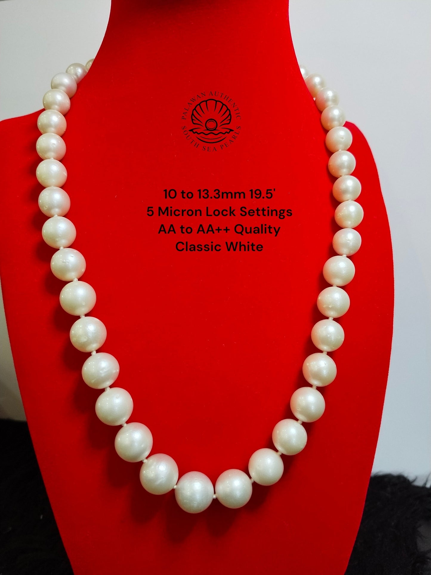 10.1 to 13.2mm Palawan Authentic Classic White Color South Sea Pearl Choker in 5 Micron Lock Settings