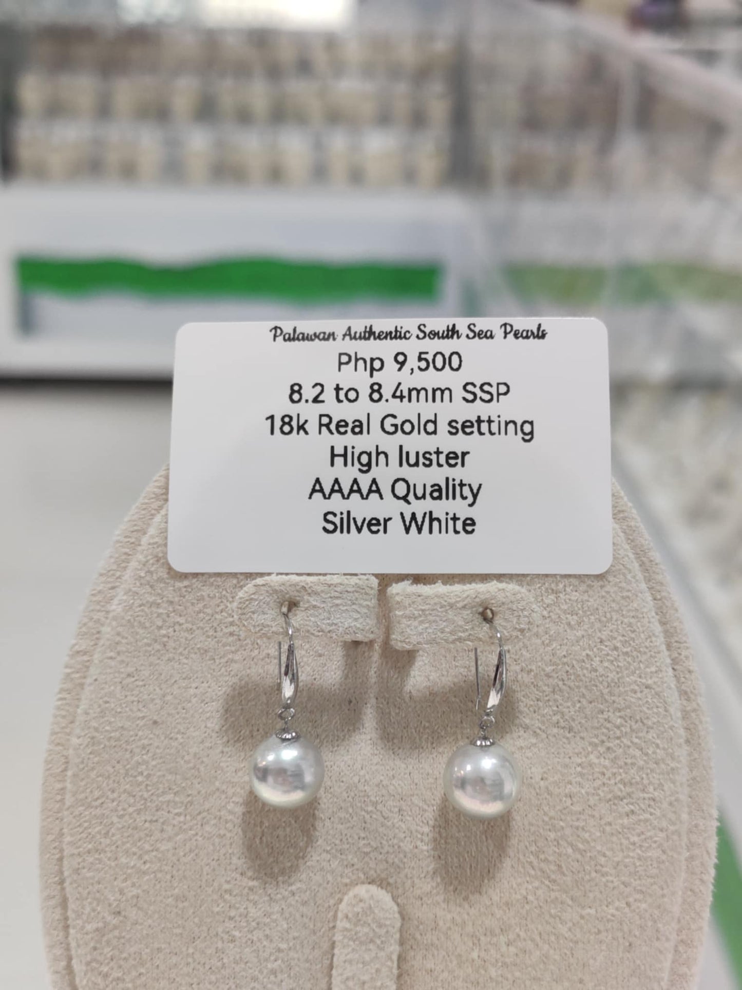 New Arrival! 8.2mm to 8.4mm Authentic Silver White Color South Sea Pearls Earrings in 18k settings