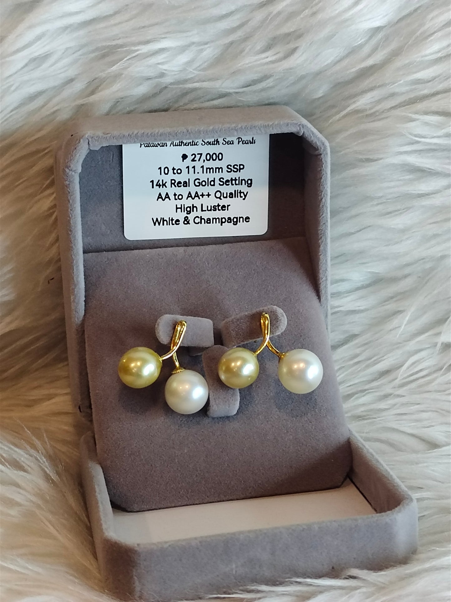 10mm to 11.1mm Authentic White and Champagne South Sea Pearl Earrings in 14k Real Gold Settings