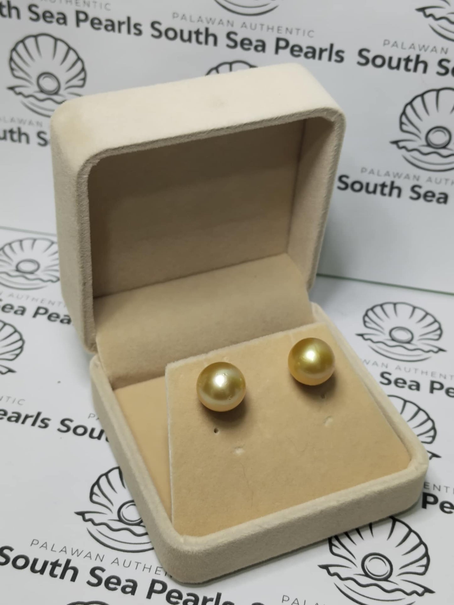 New Arrival! 12mm Authentic Champagne Color South Sea Pearl Earrings in 14k Real Gold Settings