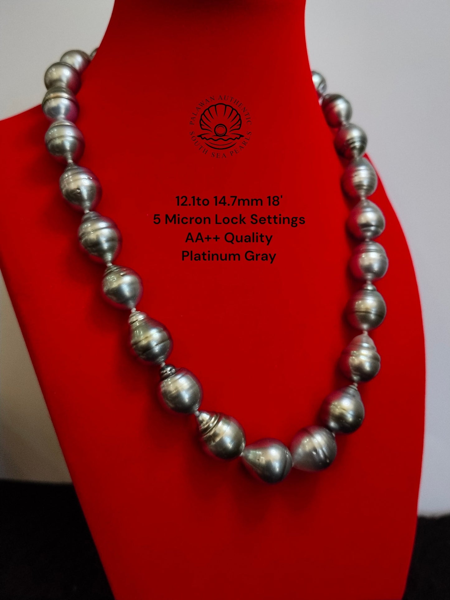12.1 to 14.7mm Palawan Authentic Platinum Gray Color South Sea Pearl Choker in 5 Micron Lock Settings