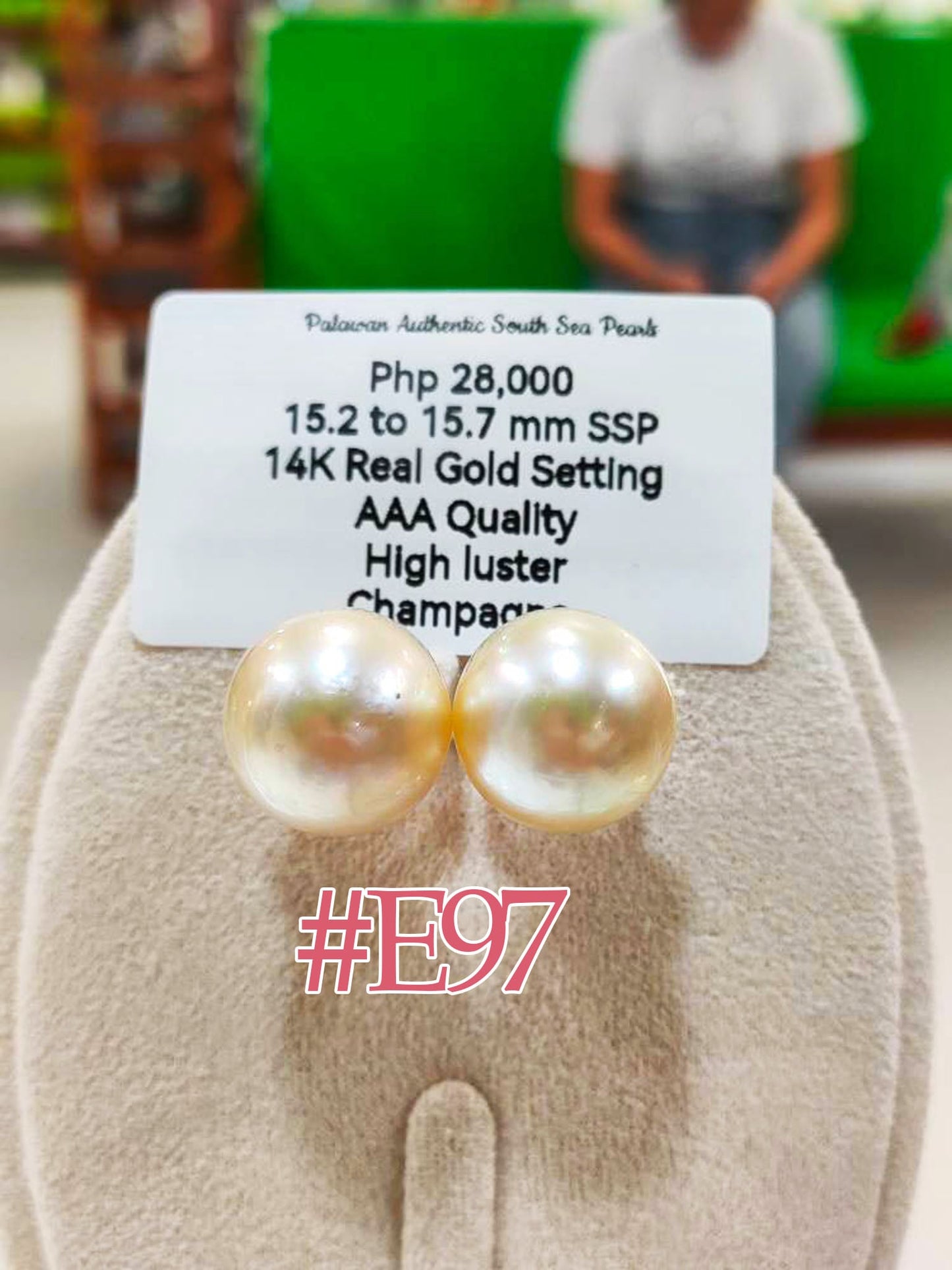 New Arrival! 15.2mm to 15.7mm Authentic Champagne Color South Sea Pearls Stud Earrings in 14k Gold