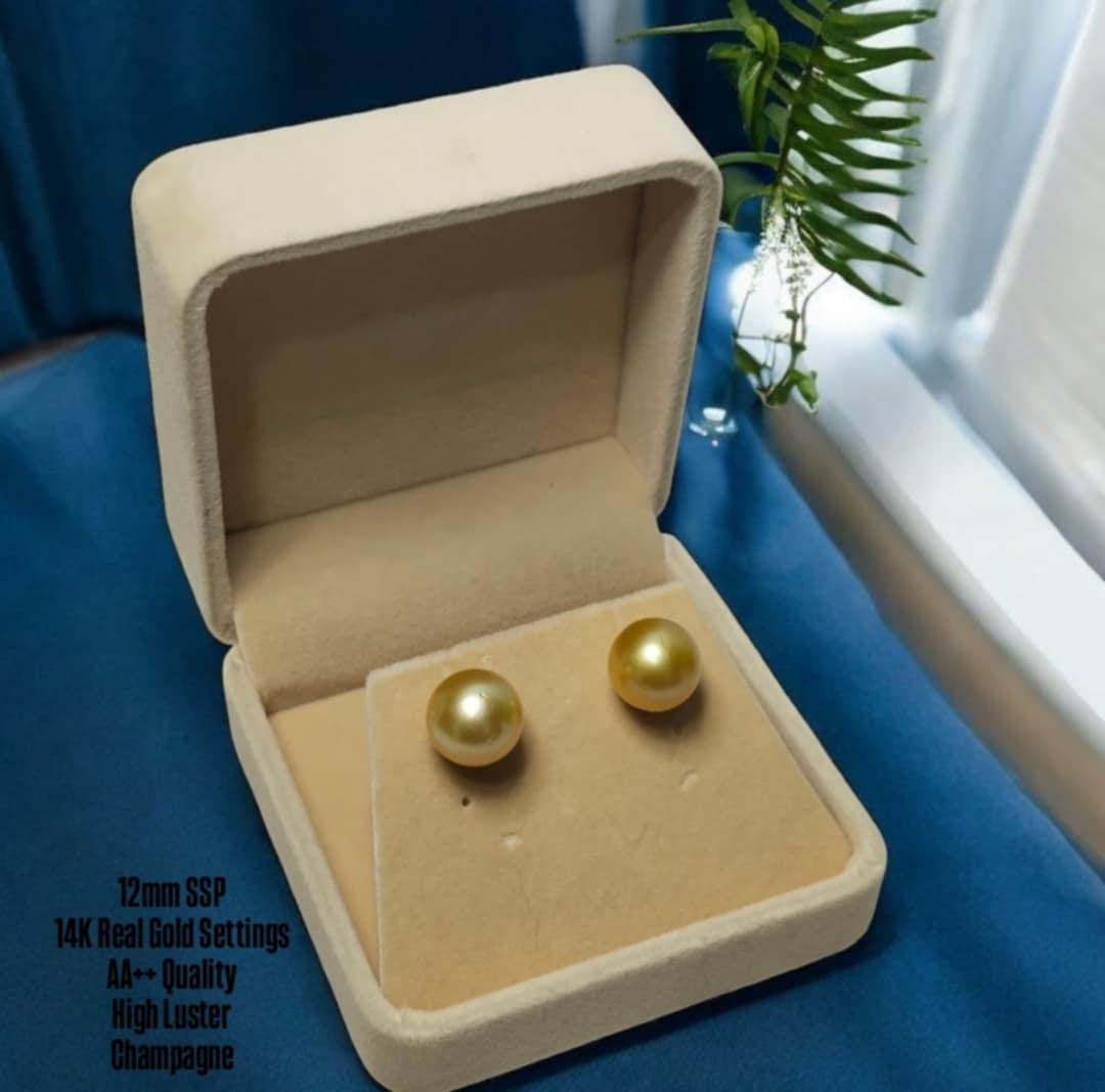 New Arrival! 12mm Authentic Champagne Color South Sea Pearl Earrings in 14k Real Gold Settings