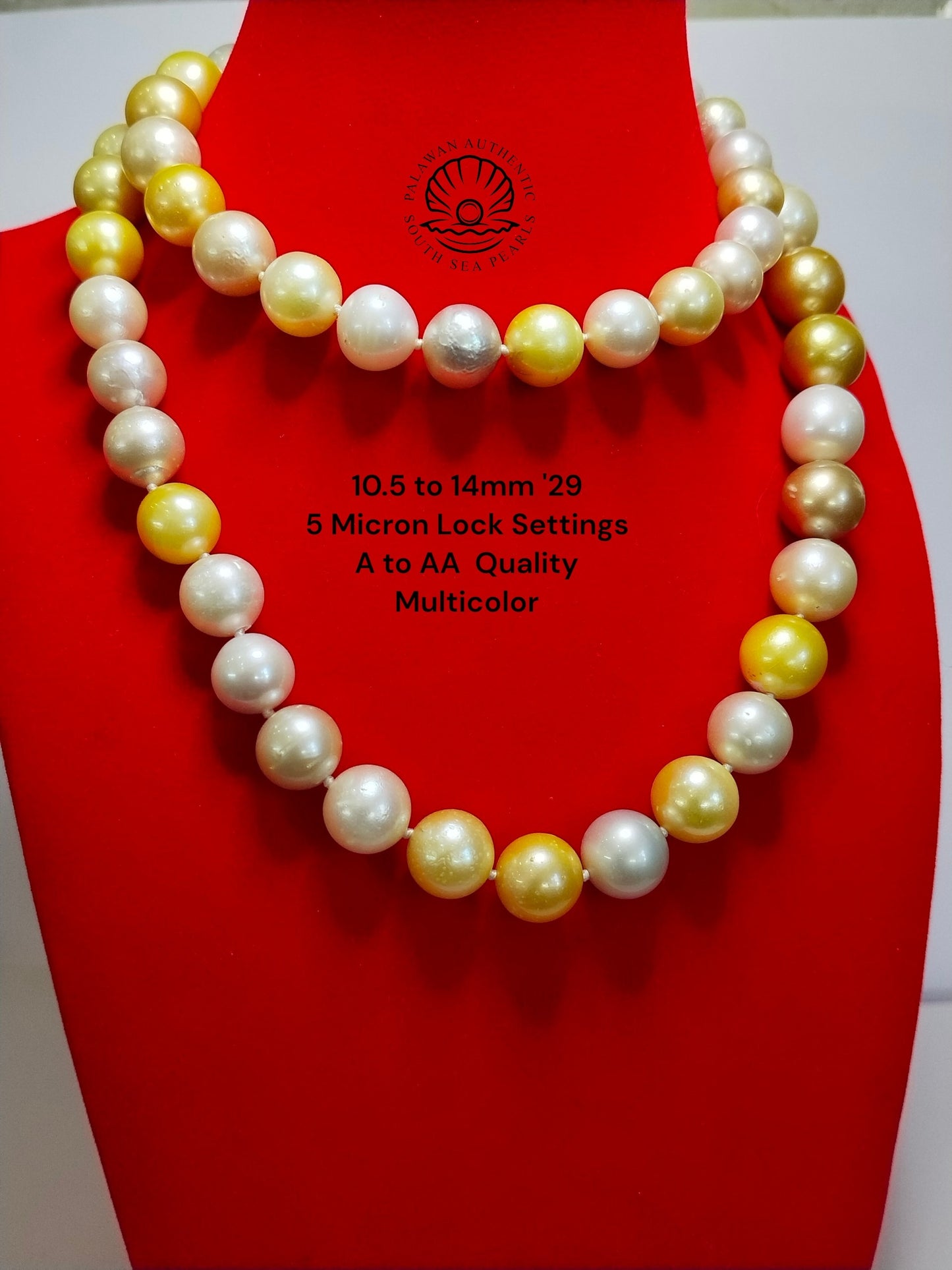 10.5 to 14mm Palawan Authentic Multicolor South Sea Pearl Choker in 5 Micron Lock Settings