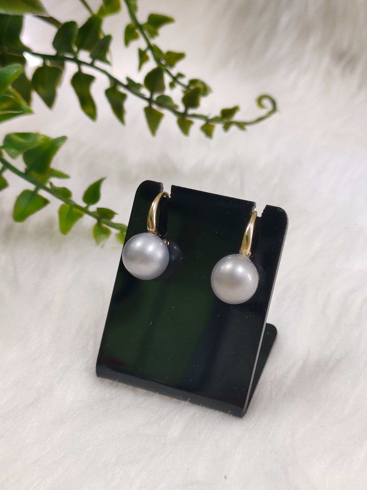 Akoya Earrings (2,500 pairs)