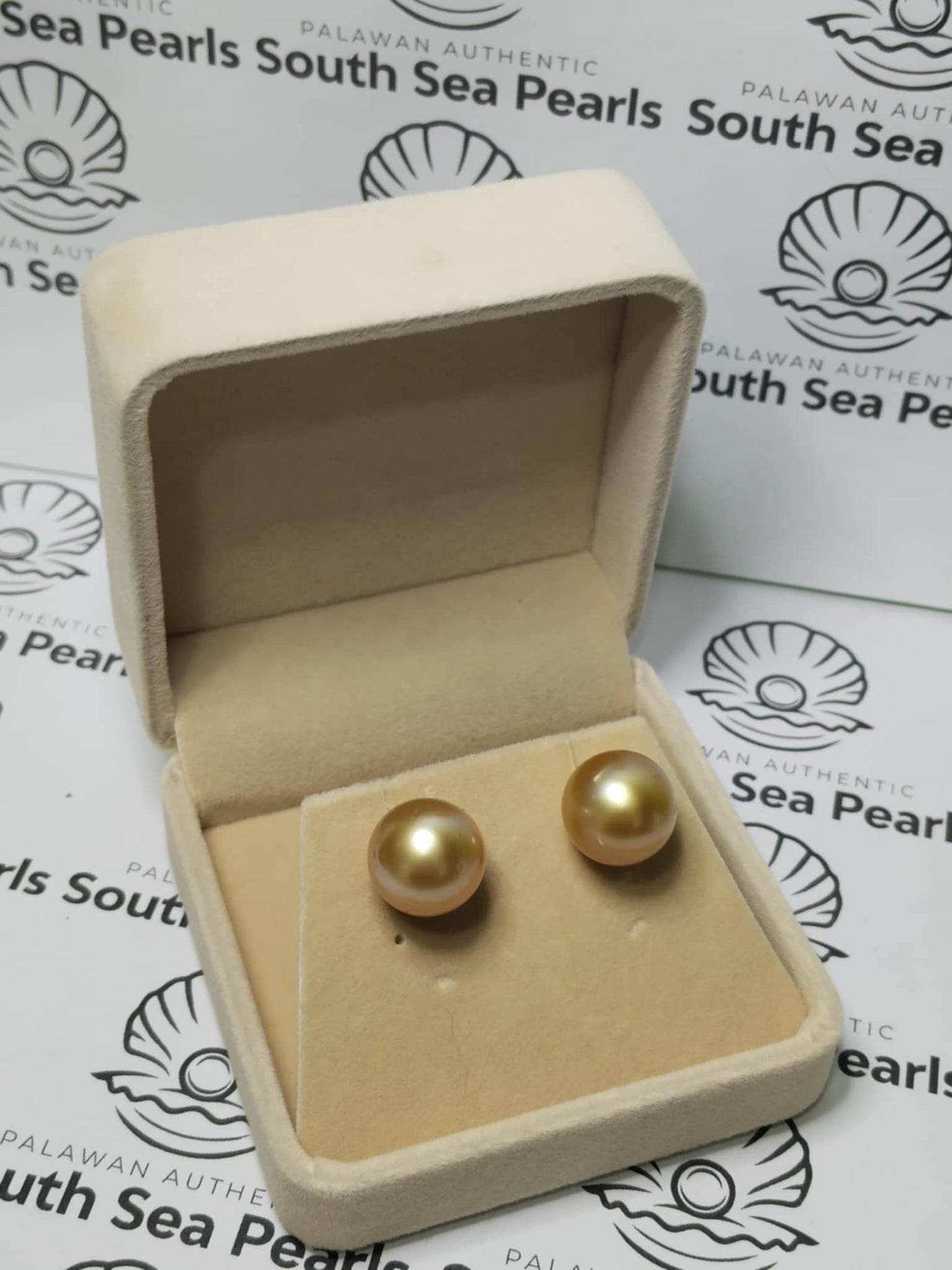 New Arrival! 13.9mm Authentic Golden Color South Sea Pearl Earrings in 14k Real Gold Settings