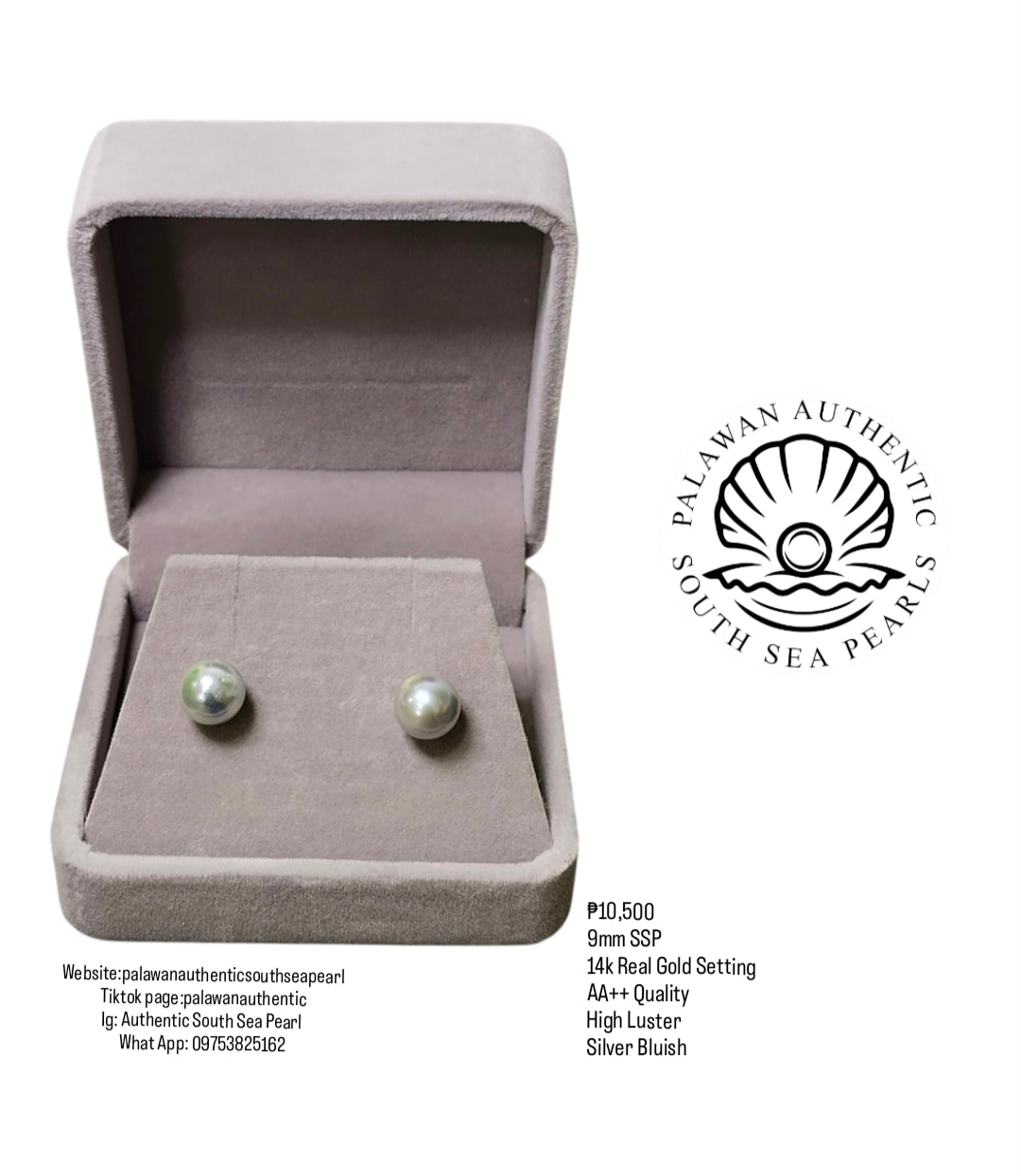New Arrival! 9mm Authentic Silver Bluish Color South Sea Pearl Earring in 14k Real Gold Setting