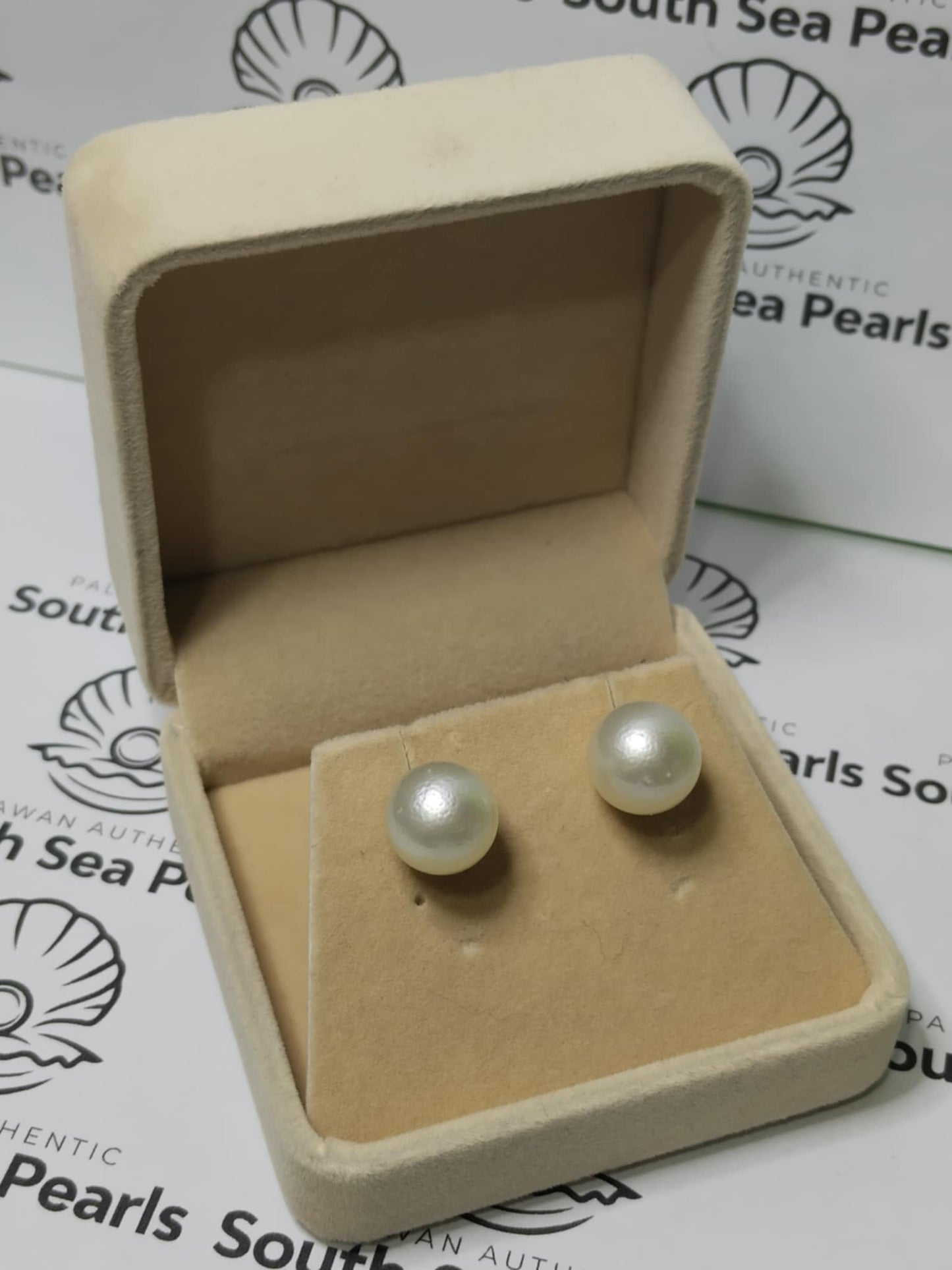New Arrival! 12 to 12.4mm Authentic White South Sea Pearl Earrings in 5 Micron Plated Settings