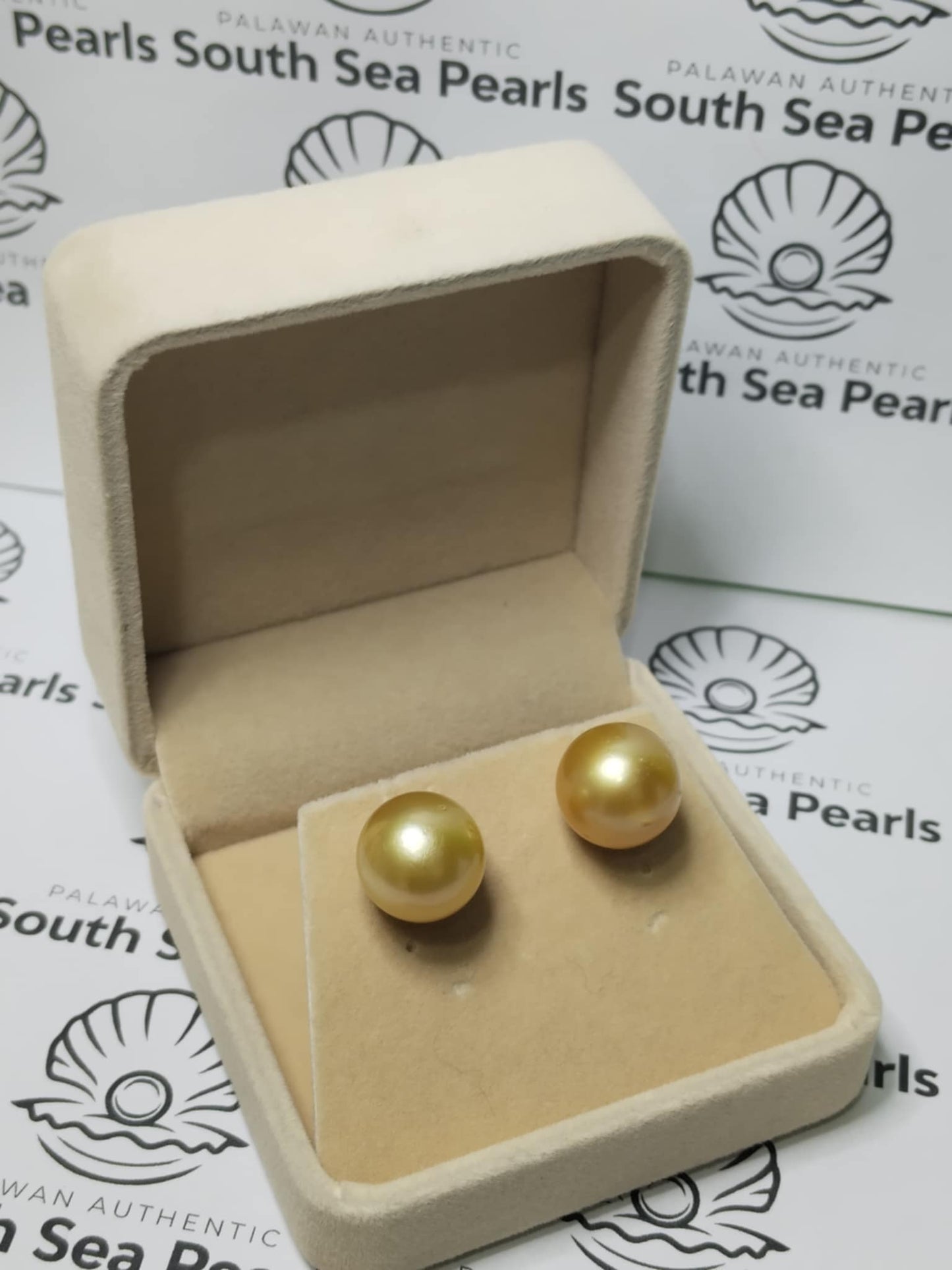 New Arrival! 14.4mm Authentic Golden Color South Sea Pearl Earrings in 14k Real Gold Settings