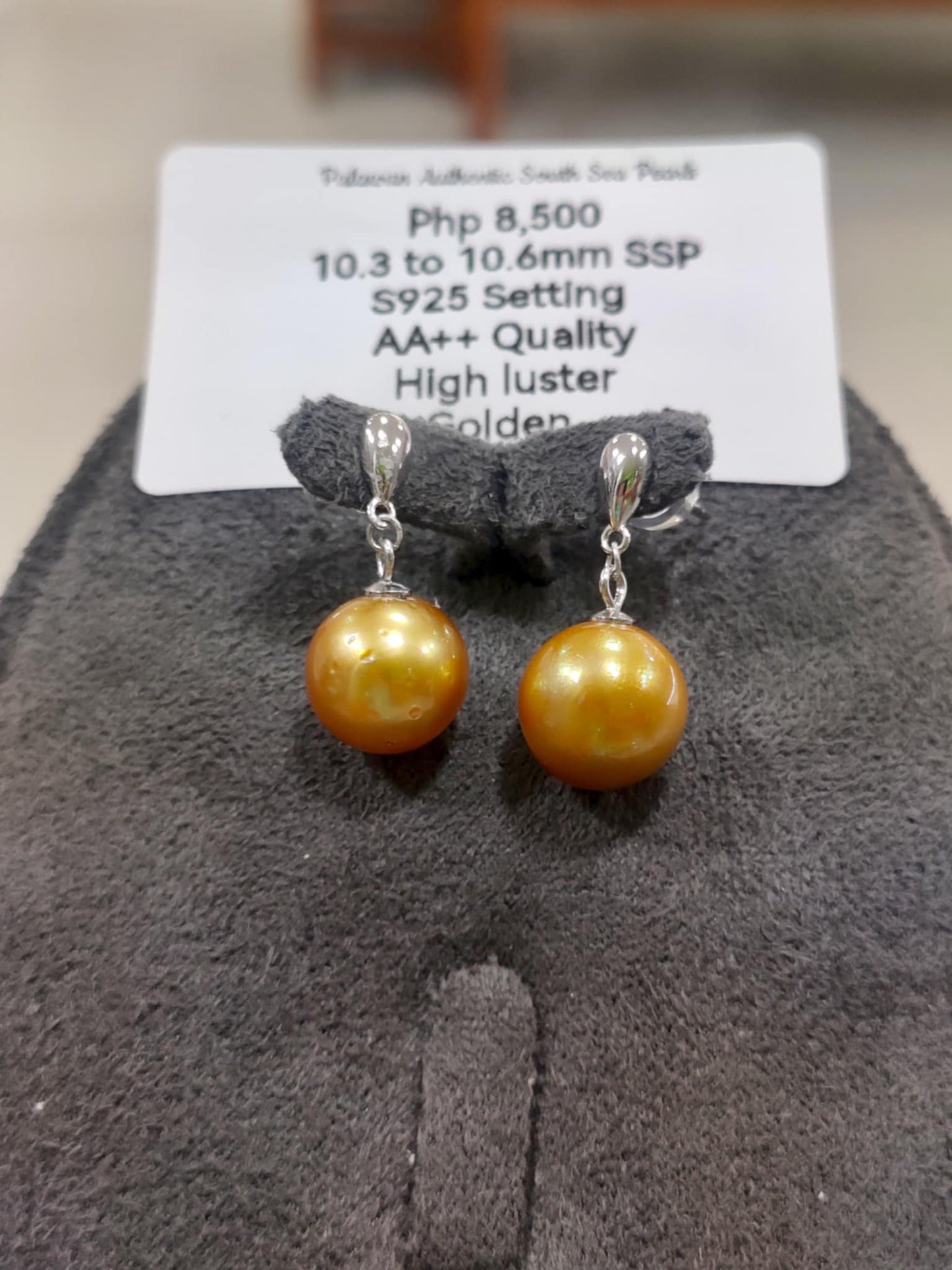 10.3mm to 10.6mm Authentic South Sea Pearls Earrings in 5 Micron Plat