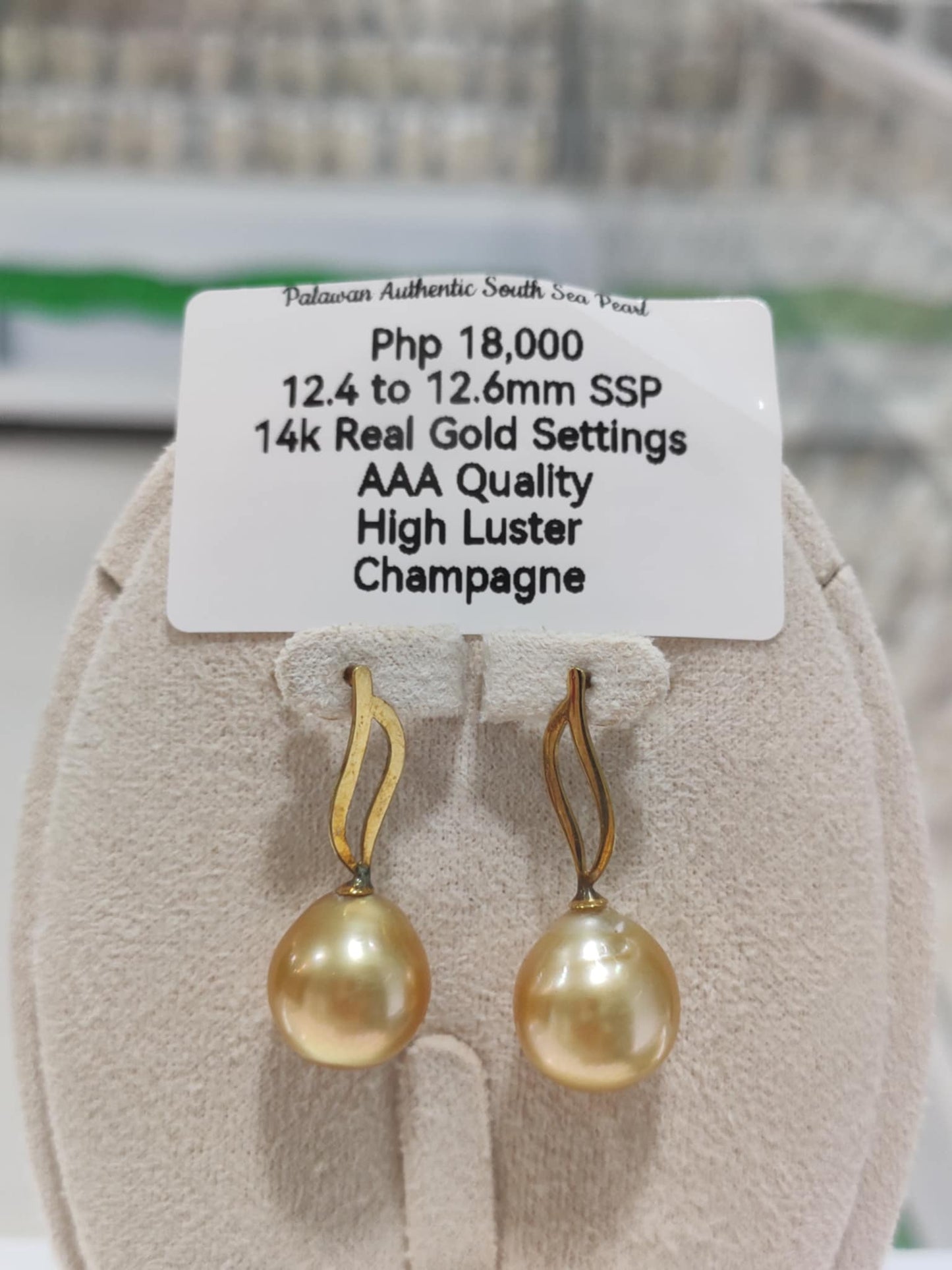 New Arrival! 12.4mm to 12.6mm Authentic Champagne Color South Sea Pearls Earrings in 14k Gold
