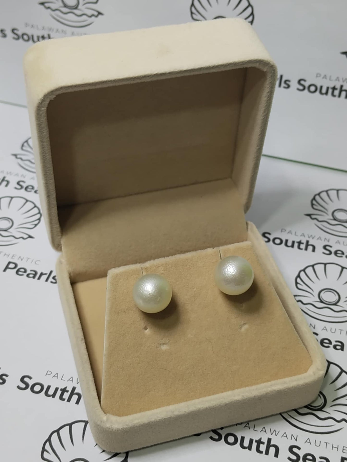 New Arrival! 11.6mm Authentic White South Sea Pearl Earrings in 5 Micron Plated Settings