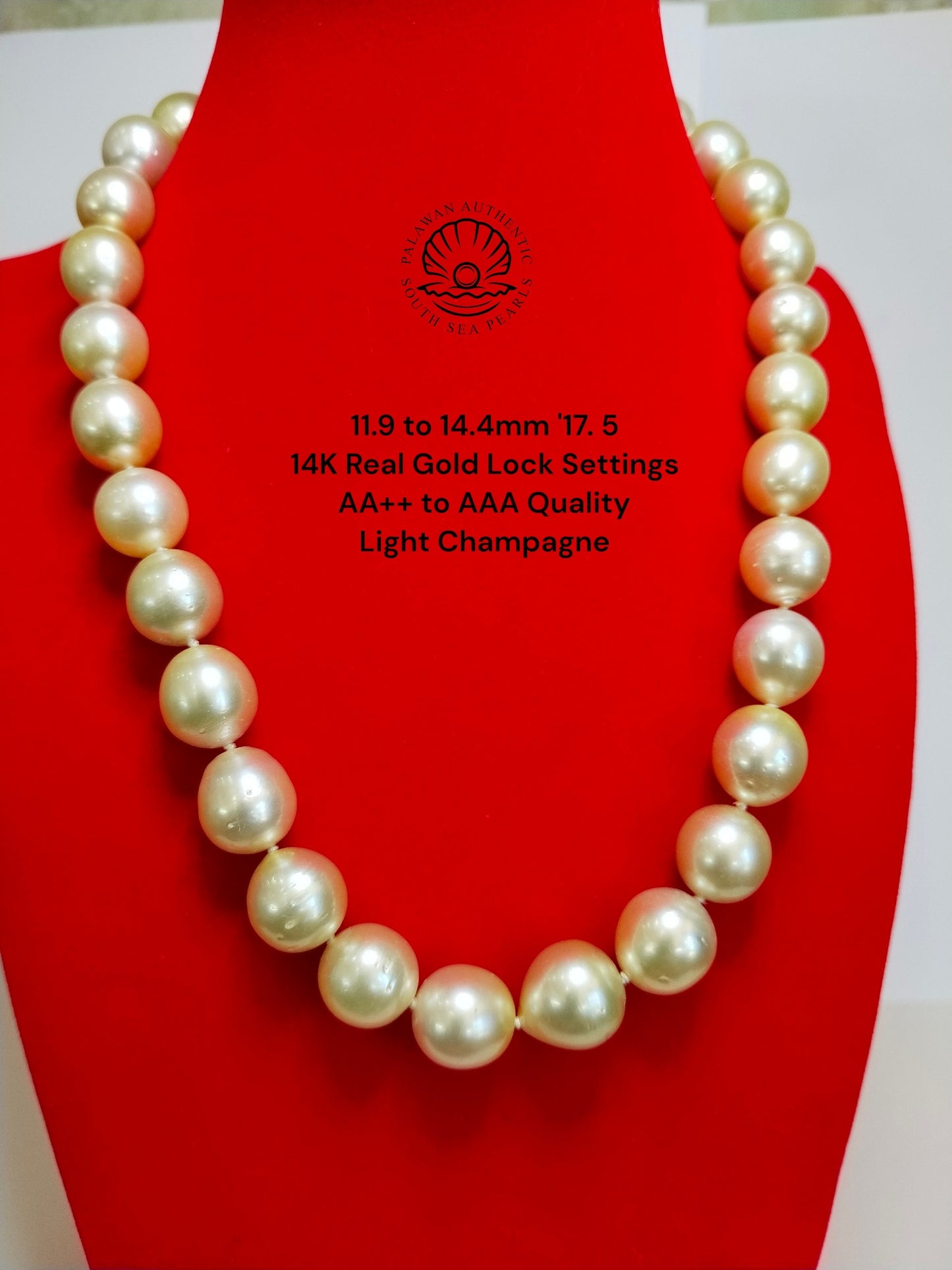 11.9 to 14.4mm Palawan Authentic Light Champagne South Sea Pearl Choker in 14k Real Gold Lock Settings