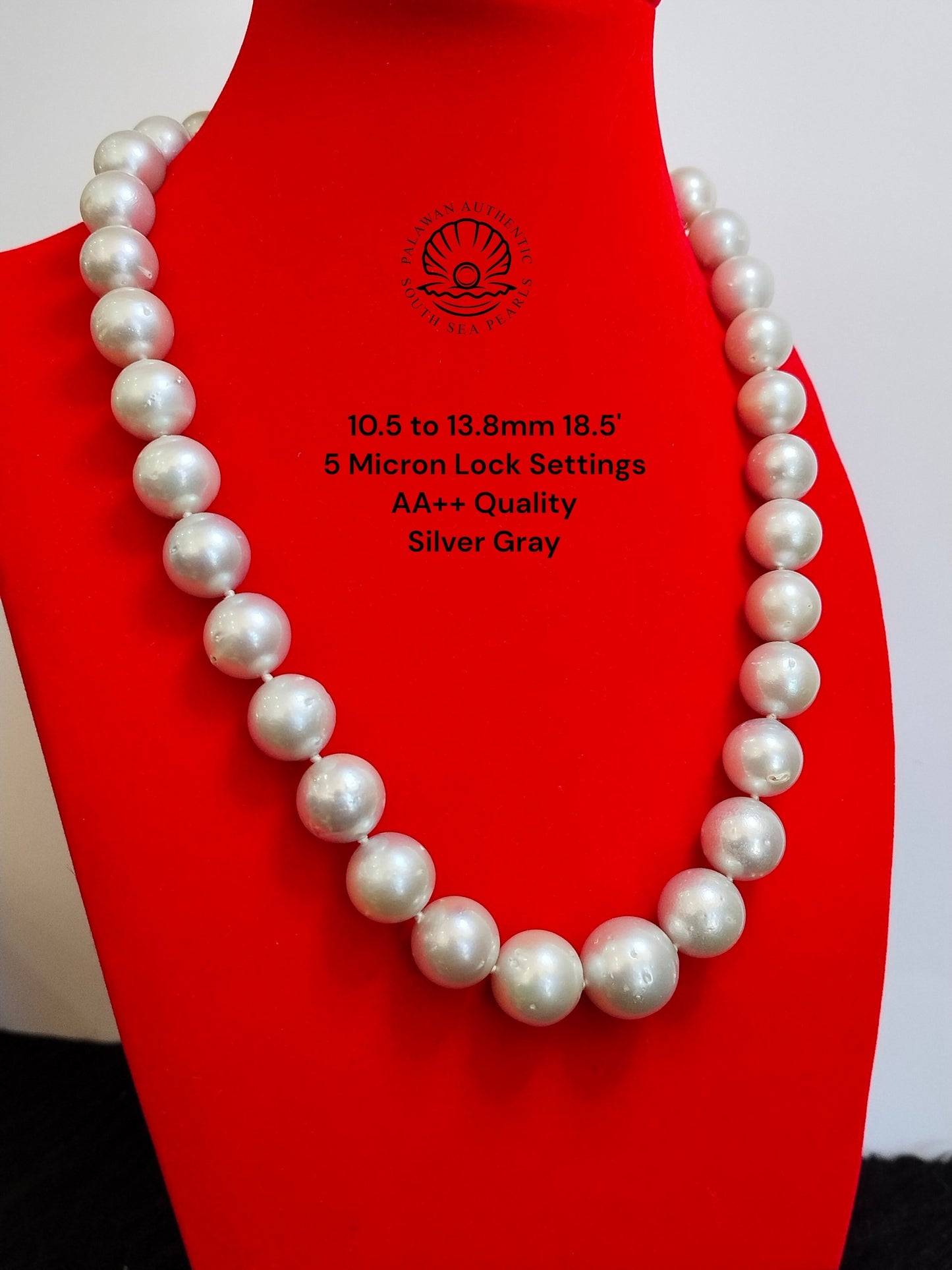 10.5 to 13.8mm Palawan Authentic Silver Gray Color South Sea Pearl Choker in 5 Micron Lock Settings