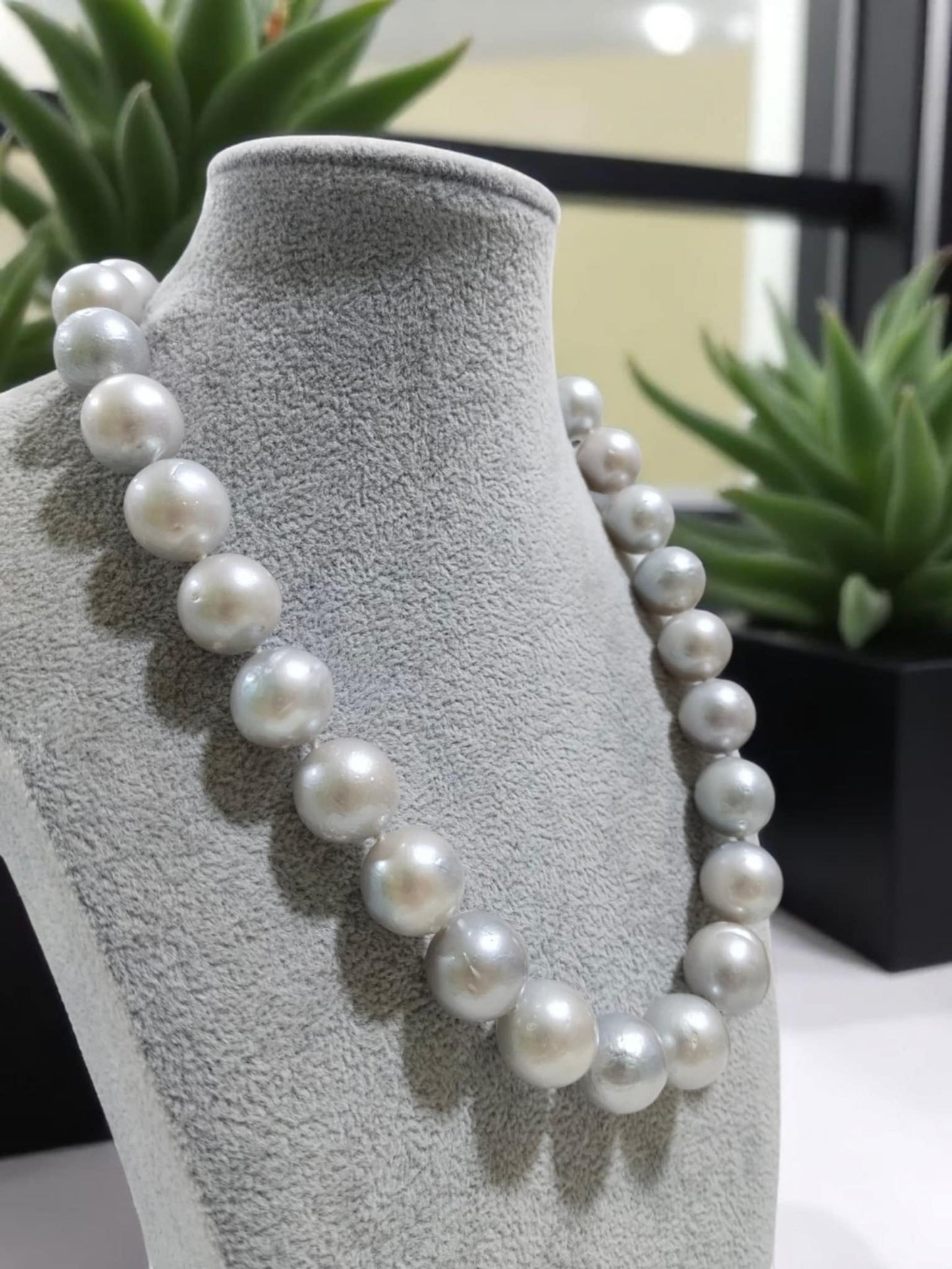 15mm to 16mm Authentic Bluish Gray Color South Sea Pearl Choker Necklace in 5 Micron Settings