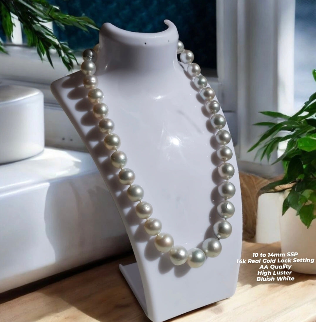 New Arrival! 10 to 14mm Authentic Bluish White Color South Sea Pearl Chocker in 14k Real Gold Lock Setting