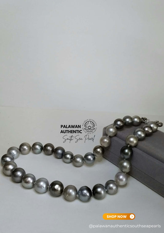 11.9 to 15.2mm Palawan Authentic Multicolor South Sea Pearl Choker in 5 Micron Lock Settings