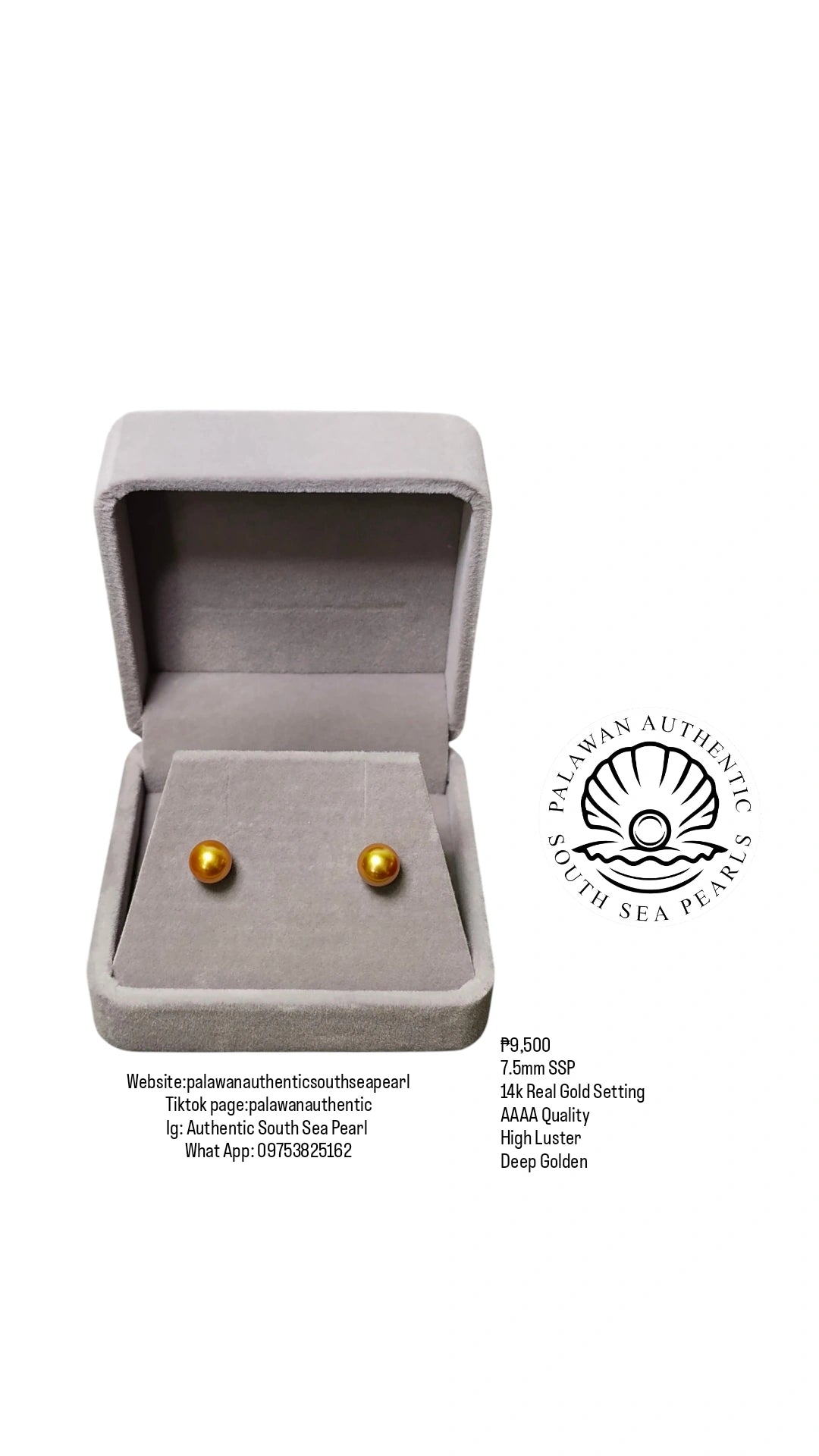 New Arrival! 7.5mm Authentic Deep Golden South Sea Pearl Earring in 14k Real Gold Setting