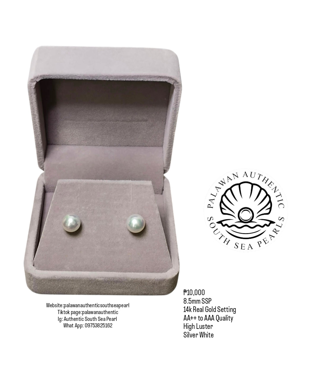 New Arrival! 8.5mm Authentic Silver White South Sea Pearl Earrings in 14k Real Gold Setting