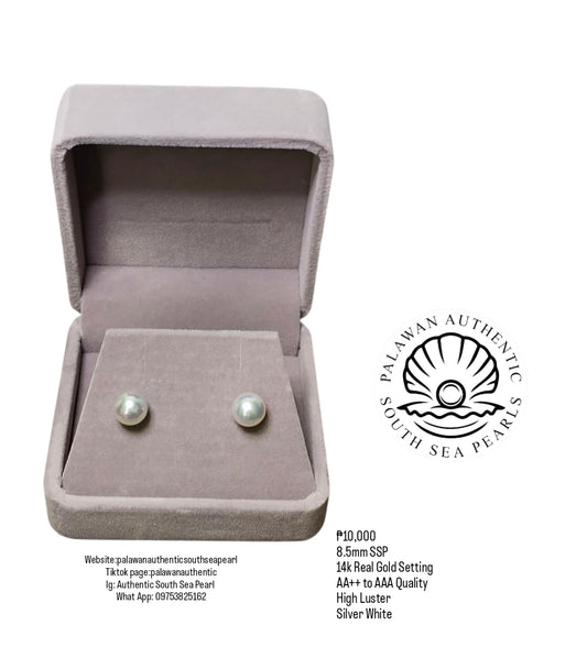 New Arrival! 8.5mm Authentic Silver White South Sea Pearl Earrings in 14k Real Gold Setting