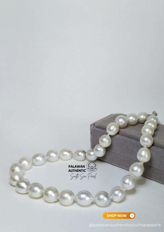 12 to 13.9mm Palawan Authentic Silver White Color South Sea Pearl Choker in 5 Micron Lock Settings