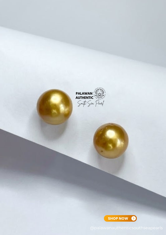 13.7 to 13.9mm Palawan Authentic Deep Golden Color South Sea Pearl Earrings  in 14k Real Gold Settings