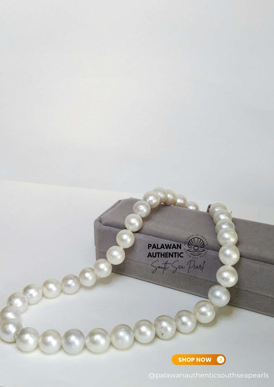 13 to 16.5mm Palawan Authentic White Color South Sea Pearl Choker in 5 Micron Lock Settings