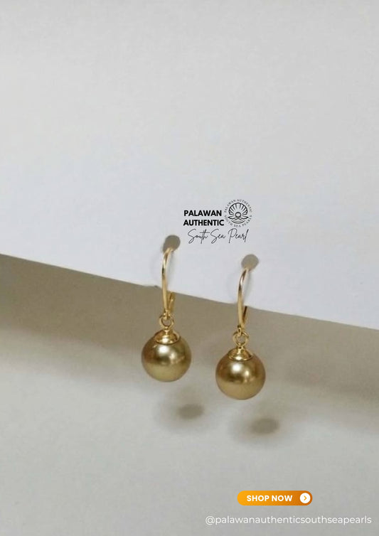 8.9mm Palawan Authentic Deep Golden Color South Sea Pearl Earrings in 14k Real Gold Settings
