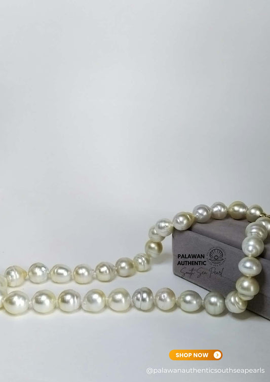 12 to 13.8mm Palawan Authentic Creamy Champagne Color South Sea Pearl Choker in 5 Micron Lock Settings