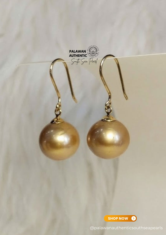 12.1 to 12.4mm Palawan Authentic Deep Golden Color South Sea Pearl Earrings in 14k Real Gold Settings