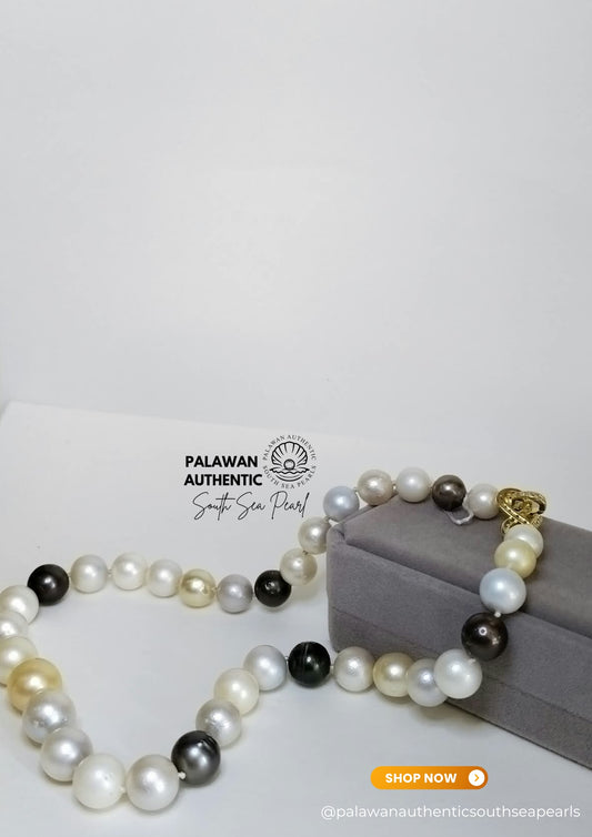 10.1 to 14.3mm Palawan Authentic Multicolor South Sea Pearl Choker in 5 Micron Lock Settings