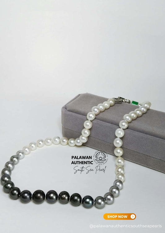 8 to 10mm Palawan Authentic Multicolor South Sea Pearl Choker in 5 Micron Lock Settings