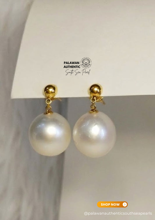 14.6 to 14.7mm Palawan Authentic White Color South Sea Pearl Earrings in 14k Real Gold Settings