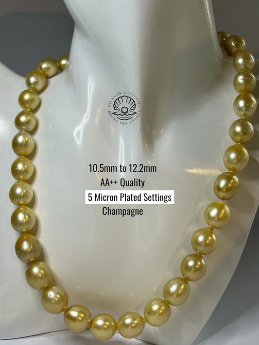 10.5 to 12.2mm Palawan Authentic Champagne Color South Sea Pearl Choker in 5 Micron Lock Settings