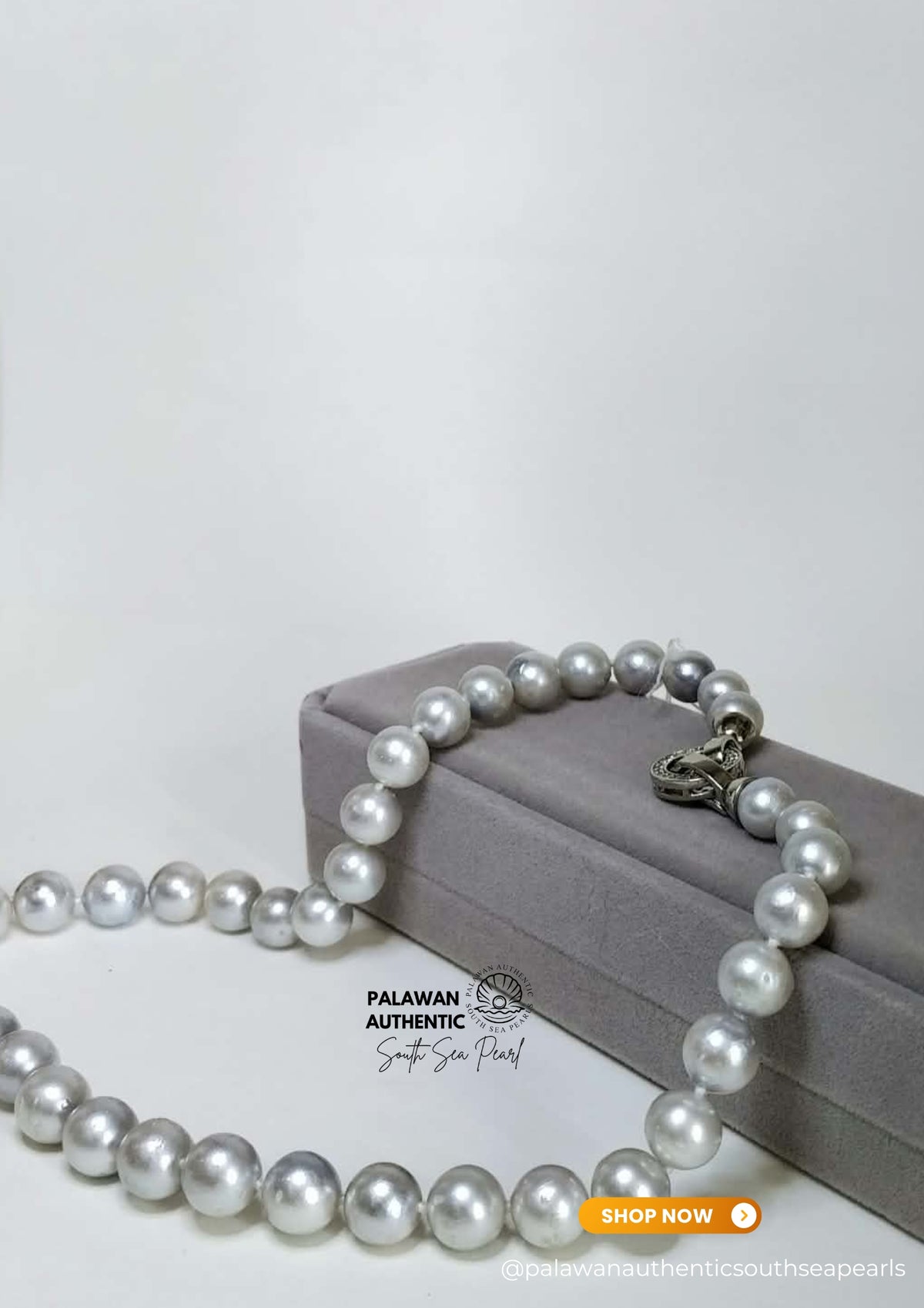 9.2  to 11.7mm Palawan Authentic Silver Gray Color South Sea Pearl Choker in 5 Micron Lock Settings