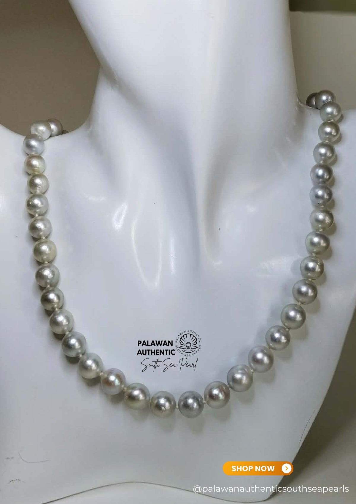 7.5 to 9.3mm Palawan Authentic Silver Bluish Color South Sea Pearl Choker in 5  Micron Lock Setting.