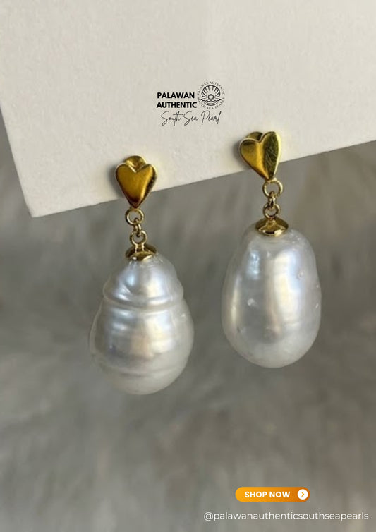 13.7 to 14.7mm Palawan Authentic Silver White Color South Sea Pearl Earrings in 14k Real Gold Settings