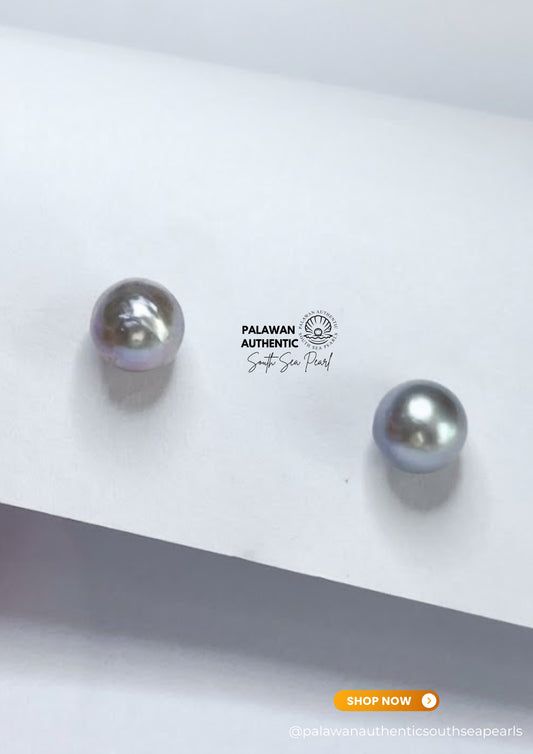 8mm Palawan Authentic Bluish Color South Sea Pearl Earrings  in 14k Real Gold Settings